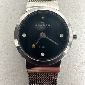 Skagen Watch Womens 19mm Round Slim Mesh Band Silver Tone New Battery READ